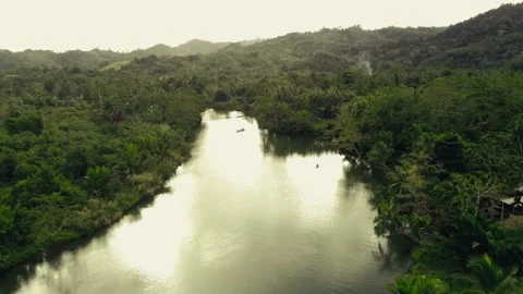 Upstream a river bank Stock Footage 327154480