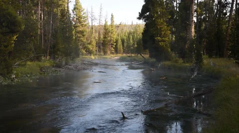 Upstream view of the Gibbon River in Yellowstone National Park Stock Footage 53787634