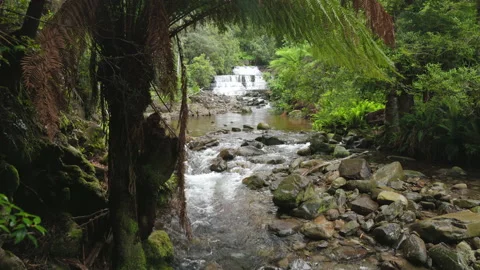 Upstream view of liffey river and cascade in tasmania Stock Footage 171854308
