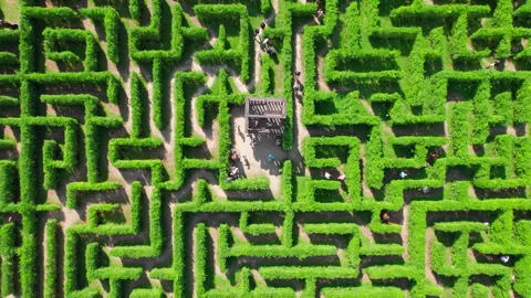 Upward aerial top down view of people playing in a labyrinth garden at sunny day Stock Footage 252119862