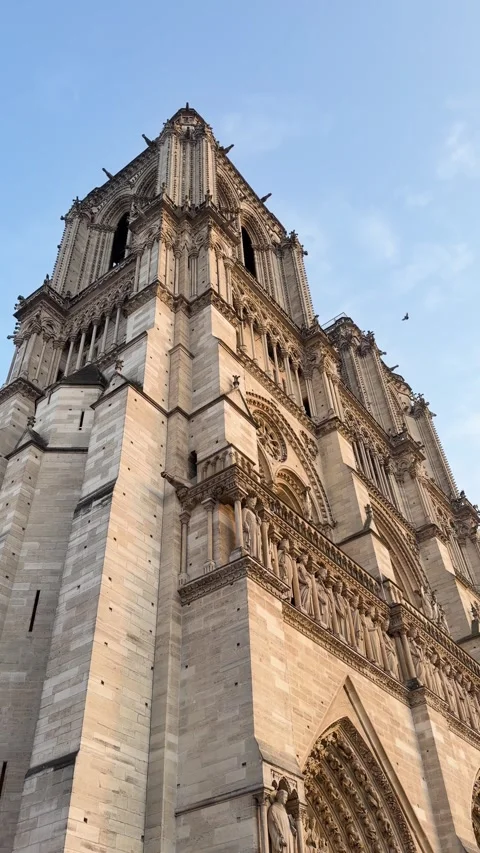 Upward Angle of Notre Dame Cathedral Facade Against Blue Sky in Paris, France Stock Footage 342051751