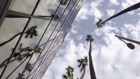 Upward angle of tall palm trees in sky with clouds reflecting off glass windows Stock Footage 70510450
