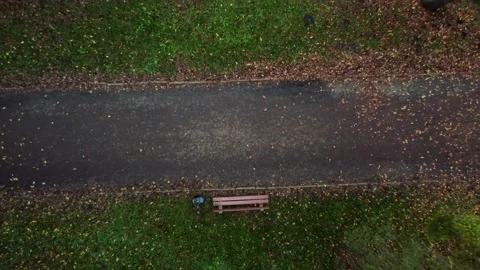 Upward flight from a park bench.  Stock Footage 143621215