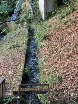 Upward Flow Stream with Gorgeous Fall Foliage Stock Photos