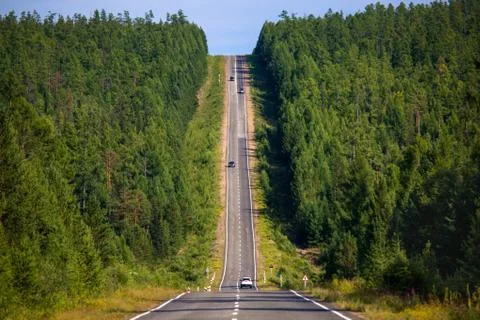 Upward highway in the forest Foto stock