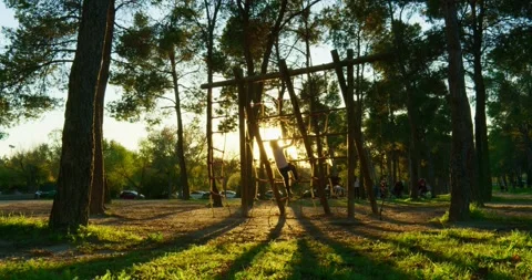 Upward Journey in Evening Light Video stock 256099990