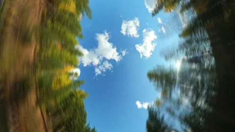 Upward-looking Perspective From a Fast Car Driving on a Scenic Road Stock Footage 332748950