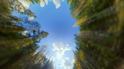 Upward-looking Perspective From a Fast Car Driving on a Scenic Road Video stock 343630577
