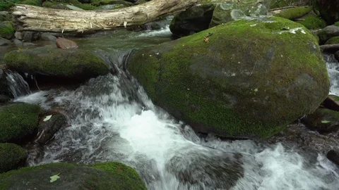 Upward pan of a mountain stream Stock Footage 112146922