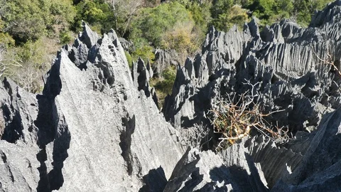 Upward Pan Shot of Limestone Forest Peaks, Tsingy de Bemaraha, Madagascar Stock Footage 117311744