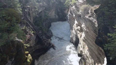 Upward Pan Through Athabasca Falls Gorge Showing Layered Rock and Rushing Video stock 345091748