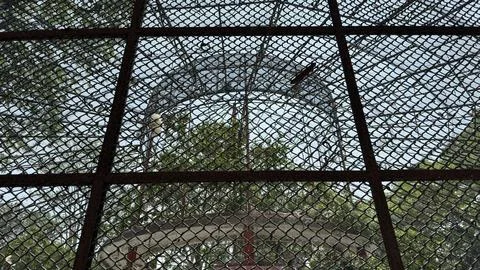 An upward perspective through a robust metal mesh fence. The intricate grid p Stock Photos