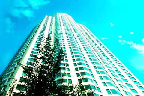 Upward Perspective View of Skyscraper Building with a Tree in front in Downtown Stock Photos