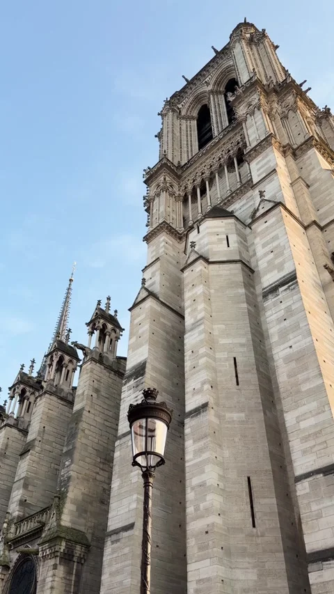 Upward Side View of Notre Dame Cathedral Exterior and Lamp Post in Paris, France 動画素材 342052205