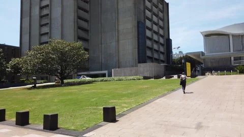 Upward slow camera pan of the tall Main Library building from the Scientia Lawn Stock Footage 258230242