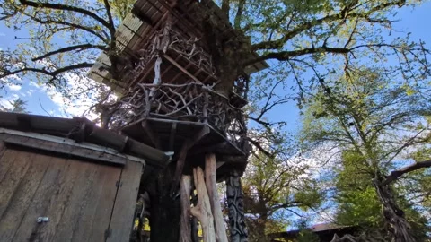 Upward video view of towering two-level treehouse with roof Stock Footage 333806019