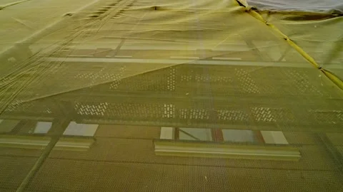 Upward view of a building facade covered with yellow safety mesh and Stock Footage 333418049