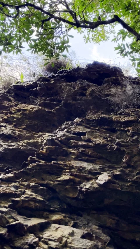 Upward view of freshwater drops falling from rock cliff in forest Stock Footage 343088428