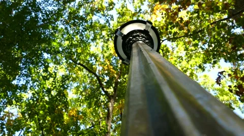 Upward view of lamp post and Autumn leaves in 4K Stock Footage 43878589