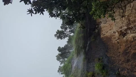 An upward view of a misty mountain ridge framed by dense trees with a casca.. Stock-Footage 346817225