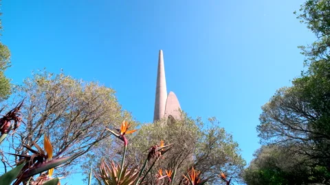 Upward view over trees and bird of paradise flower of Afrikaanse Taalmonument Stock Footage 319480172