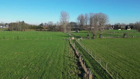 Upwards Shot Field Pathway Walkway Countryside Green Sunshine Blue Sky Trees Stock Footage 231557457