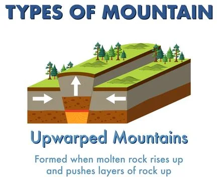 Upwarped Mountain with explanation Stock Illustration