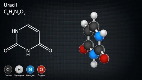 Uracil. C4H4N2O2. Seamless loop. Stock Footage 154244822