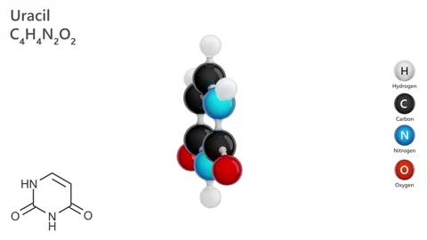Uracil (C4H4N2O2) . White back. 3D render Stock Footage 288479100
