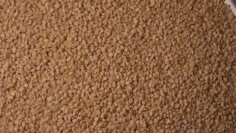 Urad Dal (Black Gram - Split Lentils) Rotating on Textured Background Stock Footage 329340726