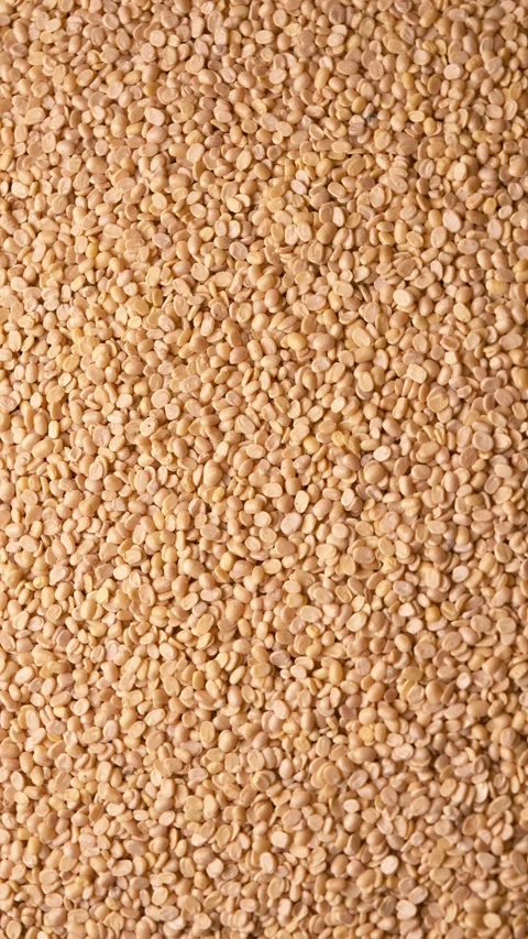Urad Dal (Black Gram - Split Lentils) Rotating on Textured Background Stock Footage 329343016