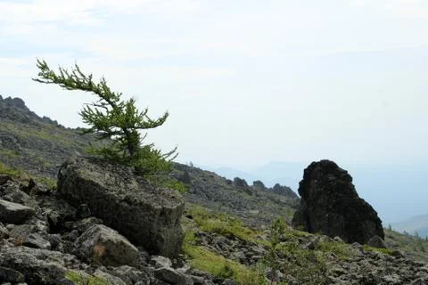 Ural Mountains 5 Stock Photos