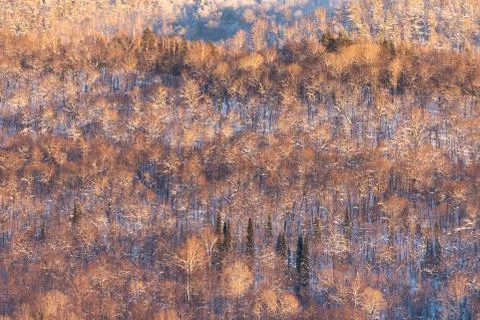 Ural mountains in the evening light Stock Photos