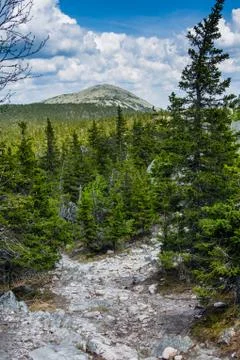 Ural mountains. Stock Photos