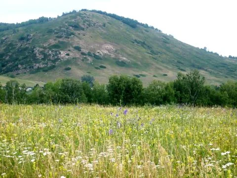 Ural Mountains Stock Photos
