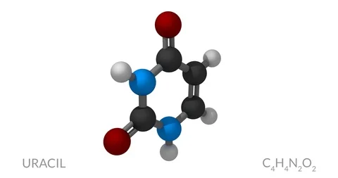 Urasil molecule, rotating seamless loop, 3d animation, 4k 30fps Video stock 92505843