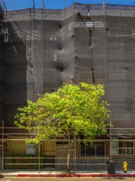 Urban Arbor Stock Photos