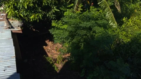 Urban Backyard Video stock 283345972