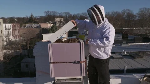 Urban Bee keeping Stock-Footage 73333822