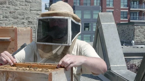 Urban beekeeper working bee hive on city roof Stock Footage 157740038
