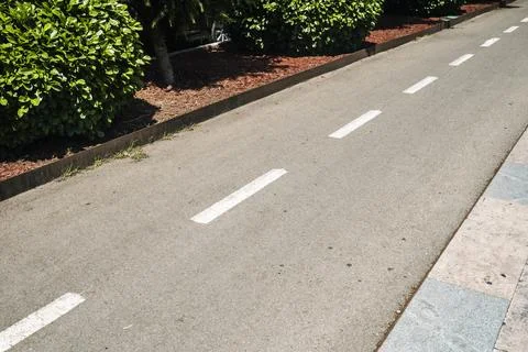 Urban Bicycle Path with Segmented Lane Markings and Greenery Stock Photos