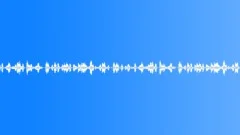 Urban Birds Welcome Dawn Sound Effect