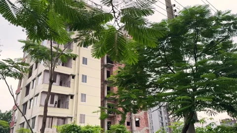 Urban building under construction surrounded by lush green trees and vibran.. Stock Footage 339425777