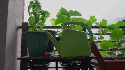 Urban City Patio Garden slow pan on a cloudy day Stock Footage