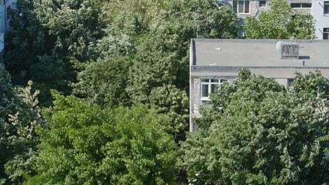 Urban City With Trees Stock Footage 89504520