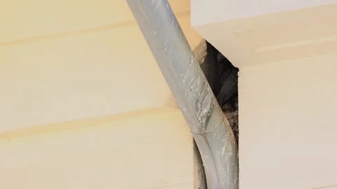 Urban Common Jackdaw in Bright Daylight Stock Footage 341808359