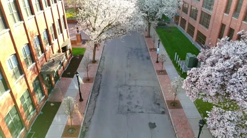 Urban Corridor - Syracuse, NY Stock Footage 336597492