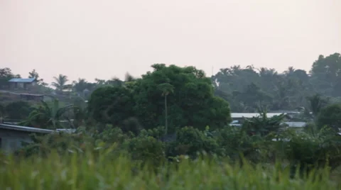 Urban Day 動画素材 45100268