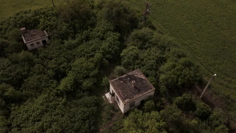 Urban Decay 4K Drone Flight Above Overgrown Railroad and Abandoned Building Stock Footage 335486568