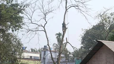 Urban Deforestation in India Stock Footage 299609129